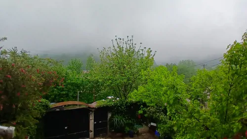 تصویر 19 - ویلا ابریشم در  اسالم