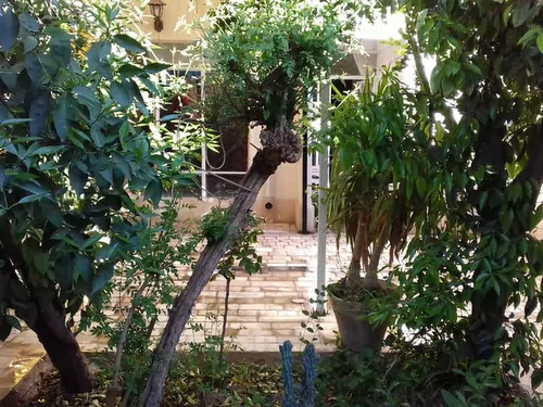 تصویر 3 - خانه ویلایی سرباغ در شیراز