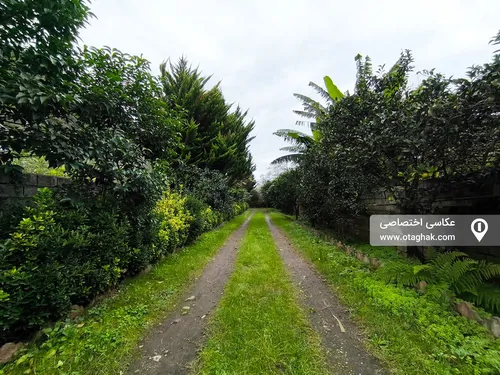 تصویر 15 - ویلا جنگلی تمشک در رامسر