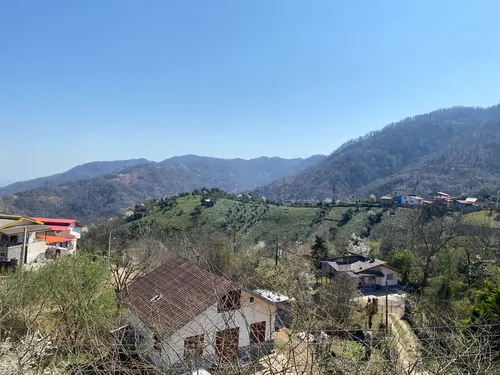 تصویر 10 - ویلا جنگلی فرخیان در  چابکسر