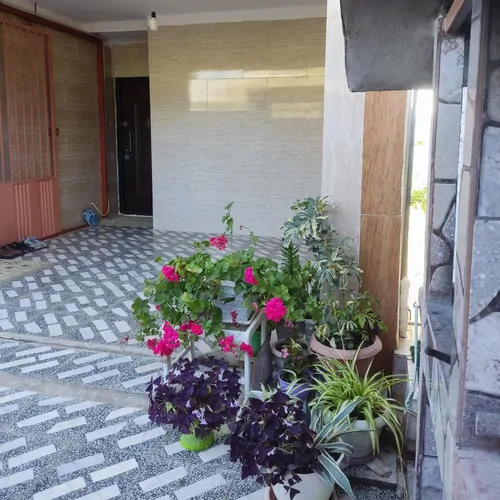 تصویر 9 - خانه  ویلایی اتو در  سوادکوه