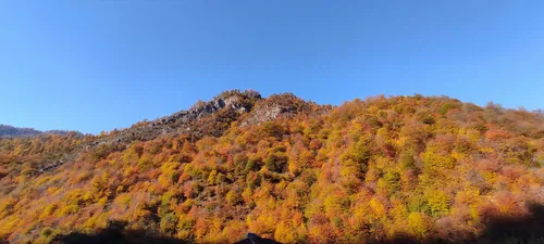 تصویر 11 - ویلا جنگلی بهشت در ماسال
