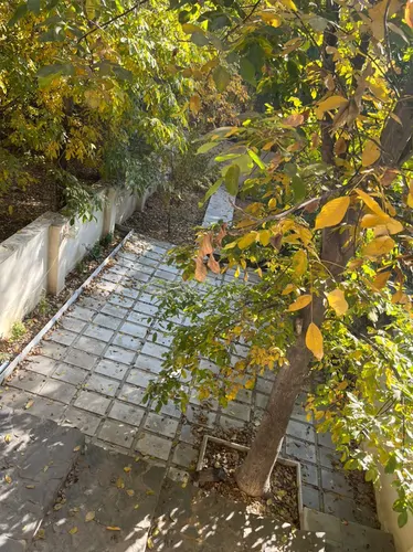 تصویر 25 - ویلا دوبلکس بوستان در  برغان