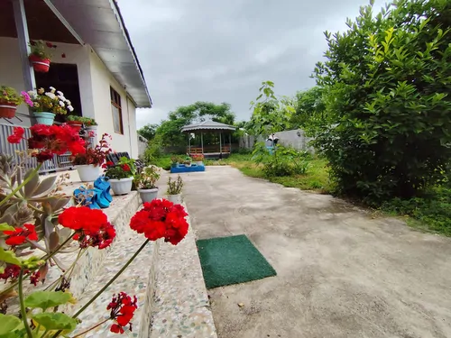 تصویر 8 - ویلا کاج در  ماسال