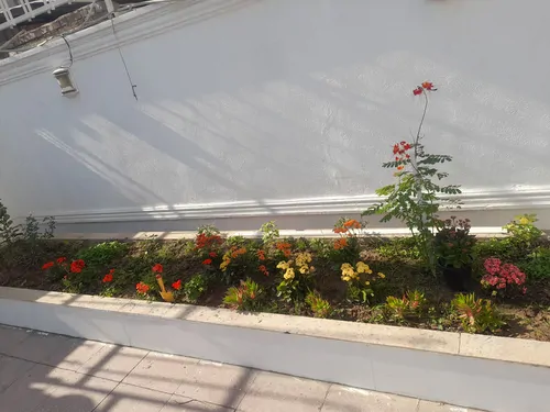 تصویر 12 - آپارتمان مبله پدری (۳) در اهواز