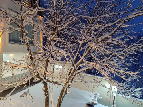 تصویر 16 - ویلا استخردار سرپوشیده آبگرم با ایرهاکی در  فشم