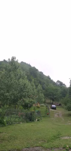 تصویر 12 - کلبه جنگلی پدربزرگ در  ماسال