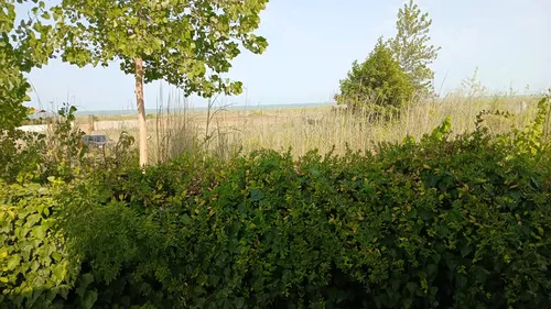 تصویر 14 - ویلا ساحلی گروسی در  چمخاله