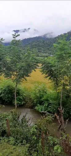 تصویر 27 - کلبه سوئیسی روار در  ماسال