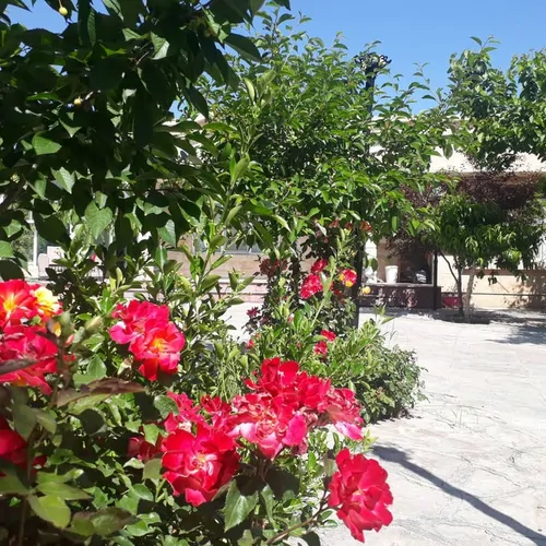 تصویر 2 - ویلا  استخر ابگرم یاس در مشهد