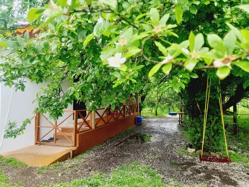 تصویر 27 - کلبه جنگلی عادل در تالش