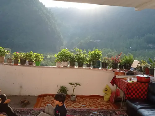 تصویر 2 - آپارتمان جنگل در شیرگاه