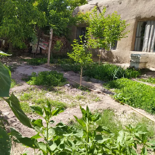 تصویر 10 - اقامتگاه بوم‌گردی سهرورد (واحد۳) در  خدابنده