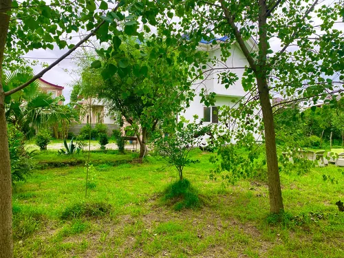 تصویر 13 - ویلا جنگلی حامد در  چالوس