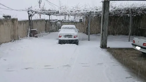 تصویر 15 - خانه مبله سعیدی در یاسوج
