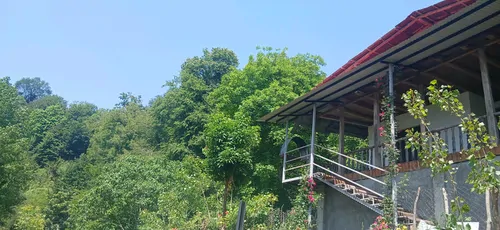تصویر 17 - کلبه تی تی در سوادکوه