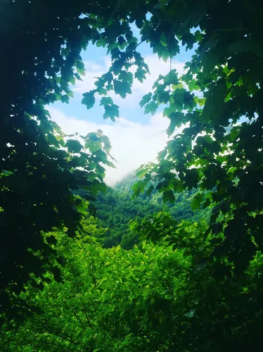 تصویر 19 - ویلا  جنگلی فوشه  در  قلعه‌رودخان 