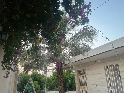 تصویر 2 - ویلا ارغوان در دزفول