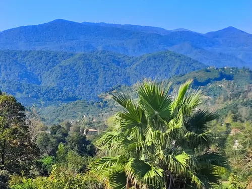 تصویر 30 - کلبه جنگلی مهر با جکوزی در رامسر