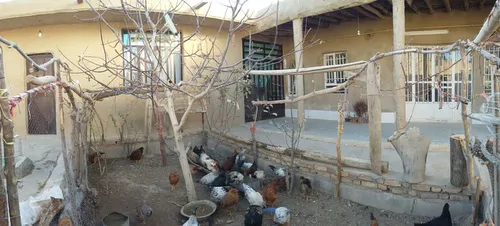 تصویر 4 - روستایی و عشایری بیژدانه(واحد۴) در ایزدخواست