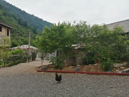 تصویر 3 - ویلا ویلای جنگلی کامران در ماسال