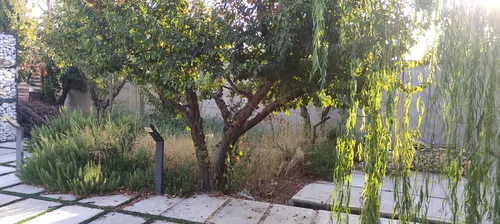 تصویر 2 - ویلا ویلای نابی در کردان