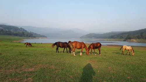 تصویر 30 - ویلا  جنگلی رایان در  شیرگاه