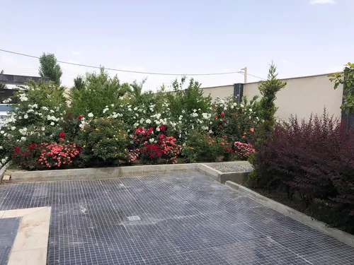 تصویر 27 - ویلا استخردار آبگرم شقایق با جکوزی در سهیلیه