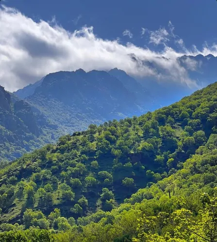 تصویر 4 - آپارتمان دیار (روستای داریان) در  پاوه
