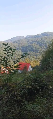 تصویر 20 - کلبه کاریزما با جکوزی در زیراب
