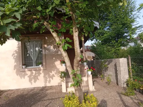 تصویر 19 - ویلا شکوفه بهار در ماسال