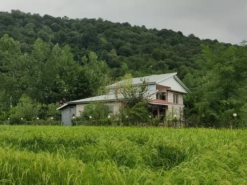 تصویر ۱ - ویلا جنگلی لاله با فوتبال دستی در  ماسال