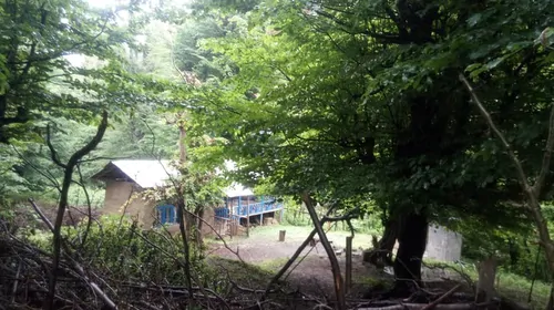 تصویر 2 - ویلا محمد حسین در ماسال