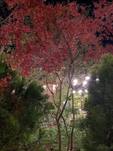 تصویر 3 - هتل سنتی قهرمانی (واحد 102 ) در قزوین