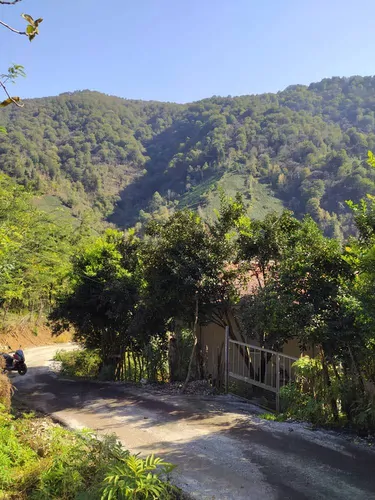 تصویر 15 - ویلا باغ جنگلی سیاهمزگی در شفت