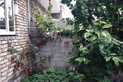 تصویر 3 - خانه مبله دستغیب در  خلخال