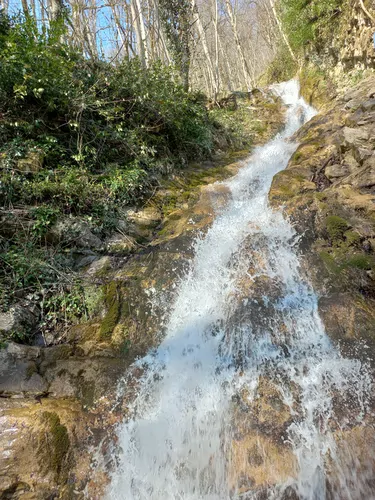 تصویر 4 - ویلا دنج و باطفا😊😊 در ماسال