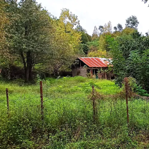 تصویر 12 - ویلا  جنگلی کورش در  ماسال