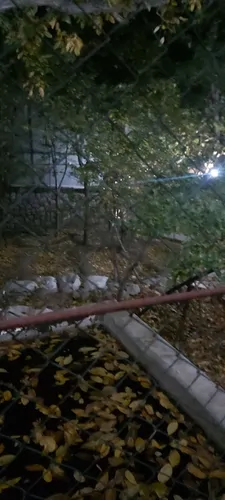 تصویر 4 - ویلا اقامتگاه  در فشم