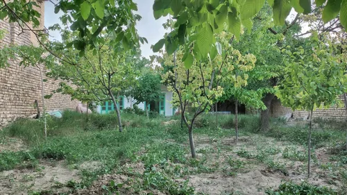 تصویر 16 - ویلا روستایی مهاجر در برزک
