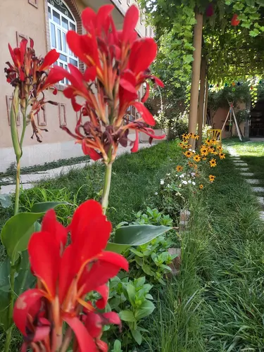 تصویر 22 - ویلا گردو  در  سعادت شهر