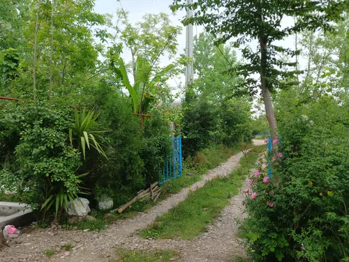 تصویر ۱ - سوییت  ویلایی علیدوست در  سراوان