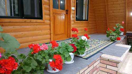 تصویر 20 - کلبه سوییسی وارش لیپا در ماسال