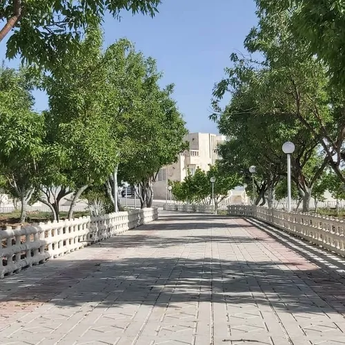 تصویر 5 - ویلا  هتل باغ ویلا سیرجان در  کرمان