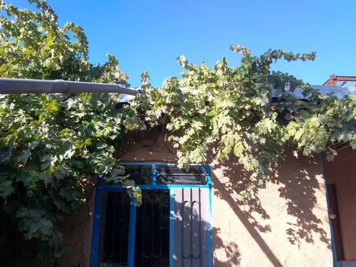 تصویر 5 - روستایی و عشایری جیرجیرک در  الموت