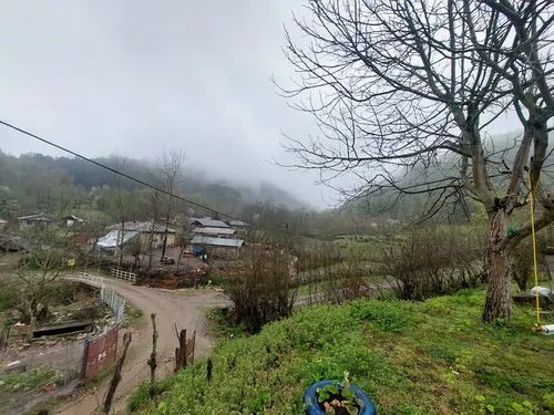 تصویر 2 - کلبه باغ ویلای یاسمن در ماسال