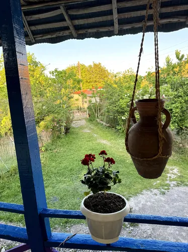 تصویر 12 - سوییت گل باران در  کوچصفهان