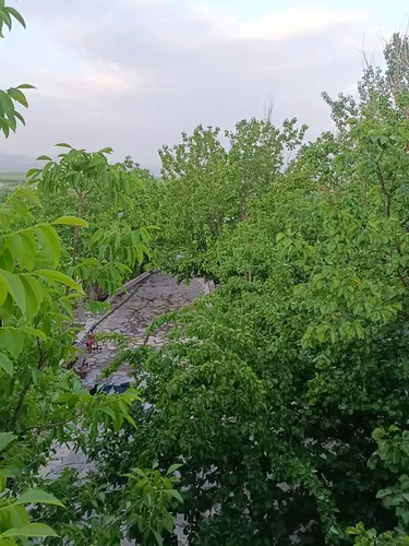 تصویر 9 - سوییت ویلایی باغ چوارچرا در  کامیاران