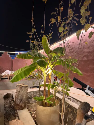 تصویر 8 - اقامتگاه بوم‌گردی گلک (1) در  هنگام