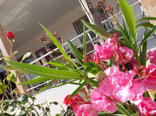 تصویر 5 - ویلا آریان در  سنگر